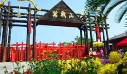 万岁山最新爆料,揭秘幕后真相与惊人内幕