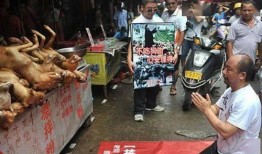 保定宠物店爆料事件最新,惊人内幕揭露行业黑幕