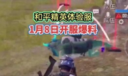 和平区体验服最新爆料,揭秘神秘游戏内容与玩法革新