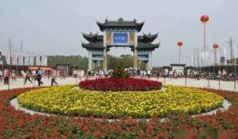 盐城龙冈爆料事件最新,真相与争议交织的舆情漩涡