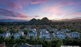 西岛最新官方爆料信息,最新爆料信息大起底