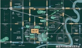 重庆口罩爆料案件视频最新,揭秘背后真相与法律较量