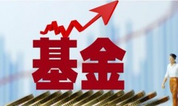 中植基金爆料最新消息,揭秘投资界重大事件内幕