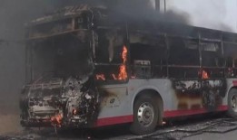 石家庄爆料逆行事件最新,惊险瞬间引发全民关注