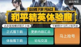 和平区体验服最新爆料,揭秘神秘游戏内容与玩法革新