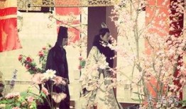 云中歌最新爆料,神秘事件揭开神秘面纱