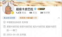 爆料四姐视频下载网站最新,一键获取热门视频，畅享娱乐盛宴！