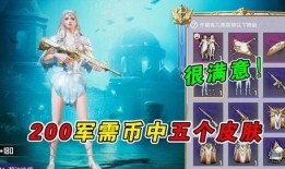 最新爆料军需币皮肤,最新爆料带你领略独特魅力