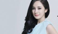 杨幂新闻最新爆料,神秘男友身份引热议