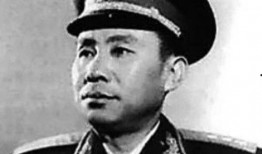 刘震最新爆料视频大全集,揭秘事件真相与幕后黑幕