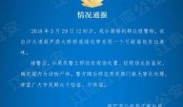 社会热点爆料最新发布网,社会热点事件深度解析
