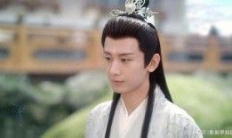 成毅杨紫最新爆料视频,幕后故事与情感纠葛