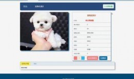 最新宠物爆料网站