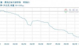 黑哥爆料餐饮视频大全最新,最新餐饮视频大全，带你领略美食世界！