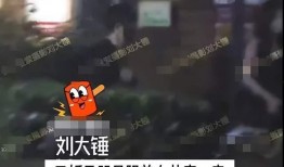 刘大锤最新爆料出轨是谁,出轨疑云笼罩，真相究竟是谁？