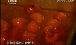 厦门月饼爆料最新,传统与创新交融的味蕾盛宴