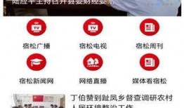 宿松新闻爆料最新,突发！最新事件引发关注，详情即将揭晓