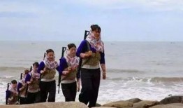 西岛最新官方爆料信息,最新爆料信息大起底