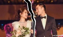 最新爆料阿娇离婚,揭秘明星婚姻背后的真相