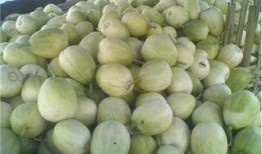 新瓜最新爆料河北