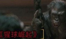 凯撒最新一话爆料,神秘事件背后隐藏的惊天秘密