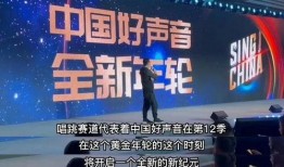 最新爆料好声音视频在线观看,独家揭秘！最新视频在线观看，精彩瞬间不容错过