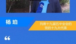 雷州爆料新闻报道最新情况,最新进展！事件真相逐渐浮出水面