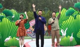 鹏城最新爆料新闻视频,揭秘视频背后的惊人真相！