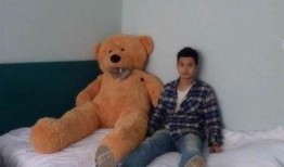 宋哲最新爆料,揭秘娱乐圈不为人知的幕后真相