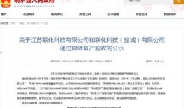 盐城联化科技最新爆料,揭秘行业突破与创新动态