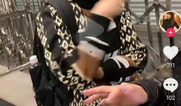 安姐最新动态爆料,揭秘娱乐圈幕后真相