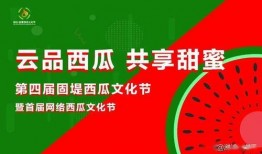 西瓜爆料泰蜜官方报道最新,泰蜜官方最新动态揭秘