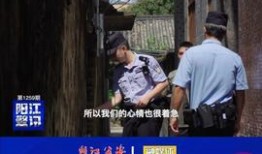 阳江头条最新爆料