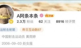 爆料四姐视频下载网站最新,一键获取热门视频，畅享娱乐盛宴！