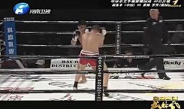 德柱最新爆料视频大全集,揭秘幕后真相，带你走进事件核心